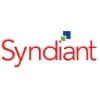 Syndiant, Inc