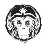 Agencia Carnal Agencia Carnal