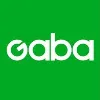 Gaba Corporation Gaba Corporation