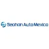 SEOHAN AUTO MÉXICO SEOHAN AUTO MÉXICO