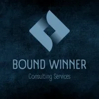 BW Consulting Services