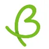 The Bridge Inc