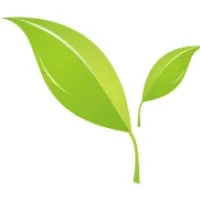 Digital Leaf