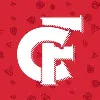 Chicago Fire Chicago Fire