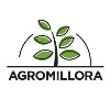Agromillora Agromillora