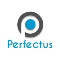 Perfectus Web Insights