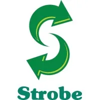 Strobe Electronics LLC