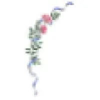 @Home Care Solutions