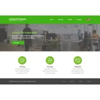 Larisey & Co. CPAs