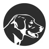 DataDog Health