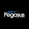 Pegasus Industrial Services Pegasus Industrial Services