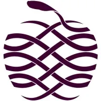 Shameless Aesthetics Shameless Aesthetics