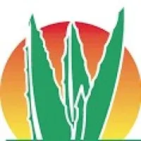 Aloe Jaumave Aloe Jaumave