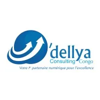 O'dellya Consulting Congo 