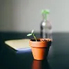 LC Consulting LC Consulting