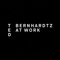 Ted Bernhardtz At Work