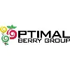 Optimal Berry Group