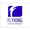 Flyking Entertainment Flyking Entertainment