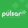 Pulsar Measurement