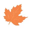 Maple Business Solutions Maple Business Solutions