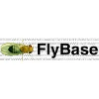 FlyBase