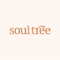 SoulTree email format