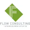 FLOW CONSULTING LTD