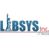 Libsys Inc Libsys Inc