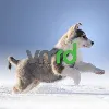 VMRD, Inc. VMRD, Inc.