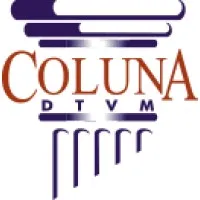 Coluna DTVM Coluna DTVM