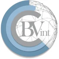 BVint - Business Valuation International Ltd