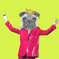pugnacious