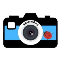 Shutterbug Photography