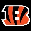 Cincinnati Bengals Cincinnati Bengals