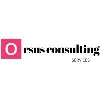 Orsus Consulting Services