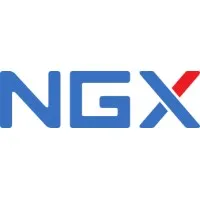 NGX Technologies Pvt Ltd