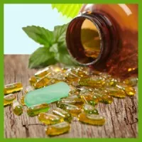 ScentSational Technologies LLC ScentSational Technologies LLC