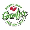 Ganfer