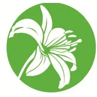 Breast Cancer Supportive Care Foundation Breast Cancer Supportive Care Foundation