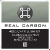 Real Carbon Inc. Real Carbon Inc.