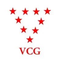 VCG Consulting Group