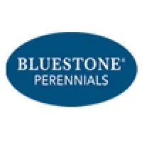 Bluestone Perennials