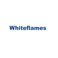 Shenzhen Whiteflames Electronics Co., Ltd