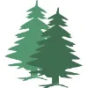 Timbersoft Inc Timbersoft Inc