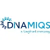 DINAMIQS DINAMIQS