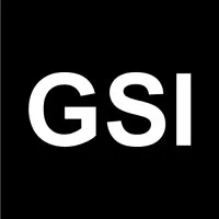 GSI Software GSI Software