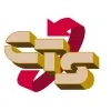 Construction & Turnaround Services