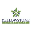 Yellowstone Landscape Yellowstone Landscape