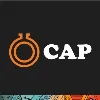Chemical and Allied Products Plc Chemical and Allied Products Plc