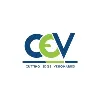 Cutting Edge Visionaries
